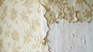 zrywanie tapety cena robocizny